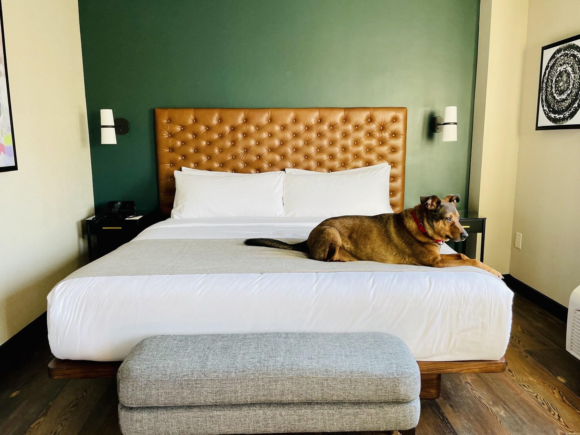 The Lloyd Stamford, Tapestry Collection By Hilton Hotel Eksteriør billede